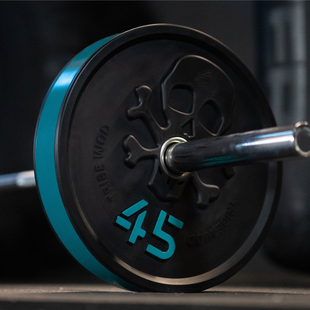Bumper plate CORSAIR-45lbs (Sample Sale)