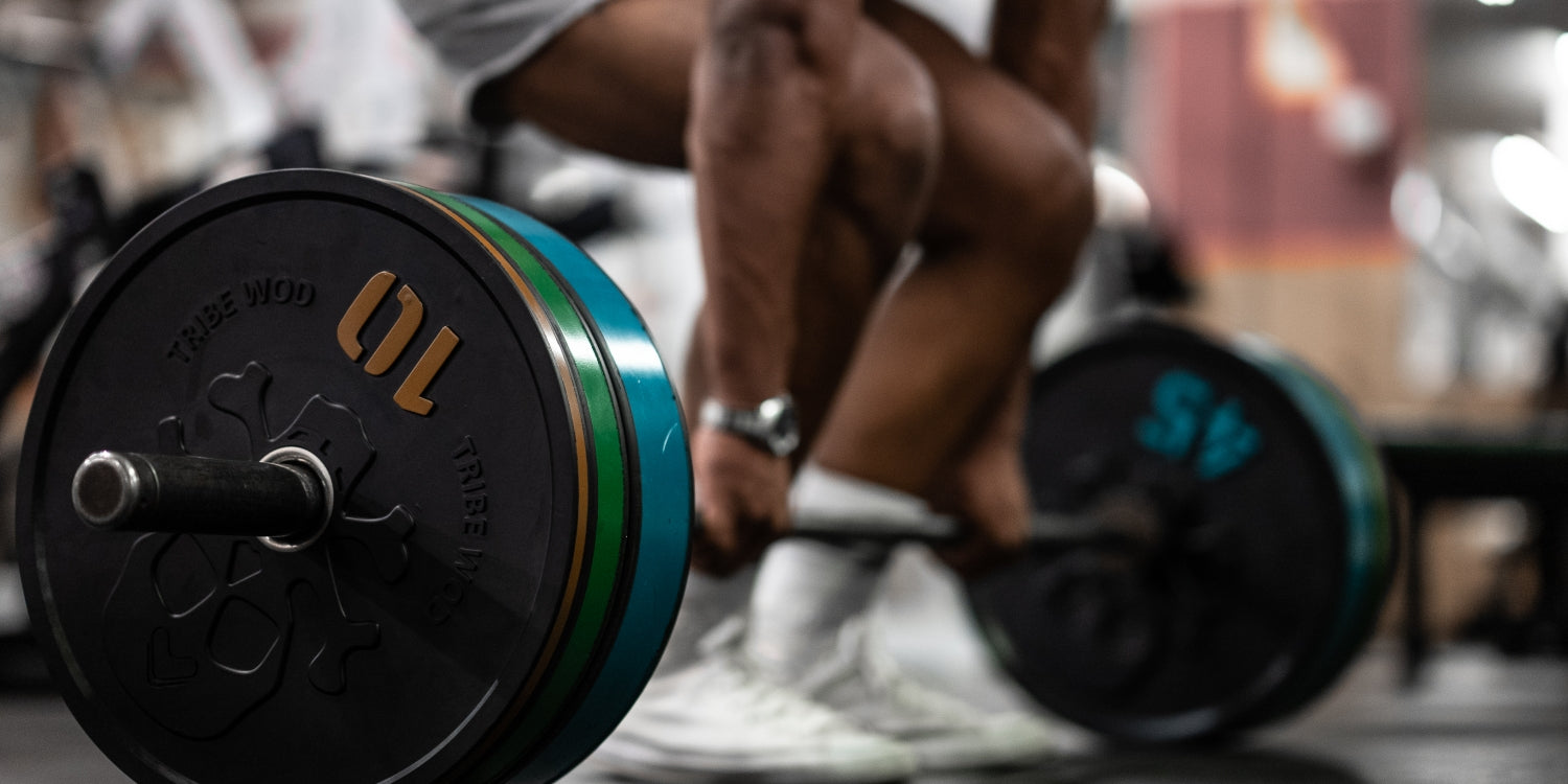 Barbells & Plates